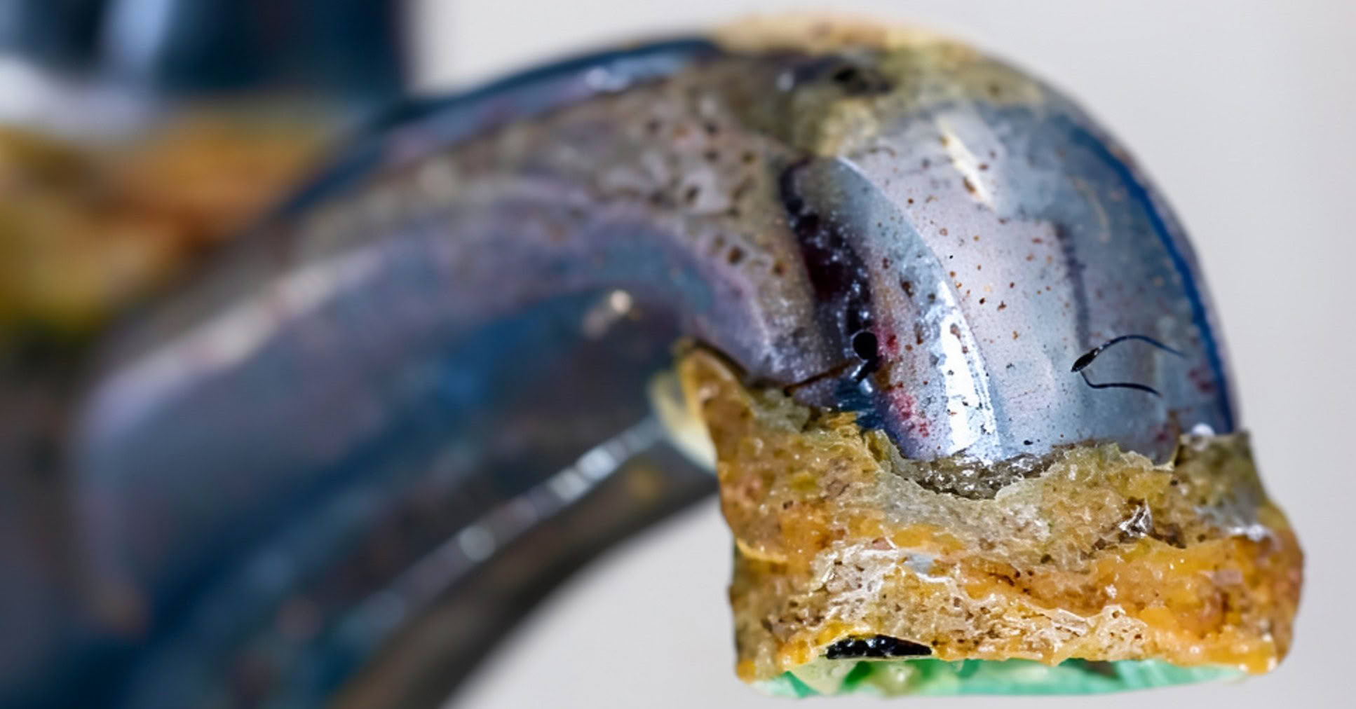 hard water limescale build up
